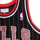 CANOTTA BASKET NBA SWINGMAN JERSEY SCOTTIE PIPPEN NO33 1995-96 CHIBUL ALTERNATE ORIGINAL TEAM COLORS