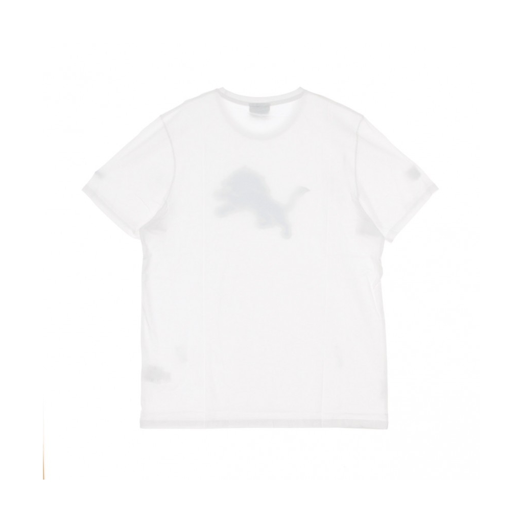 MAGLIETTA TEAM LOGO TEE DETLIO WHITE/ORIGINAL TEAM COLORS