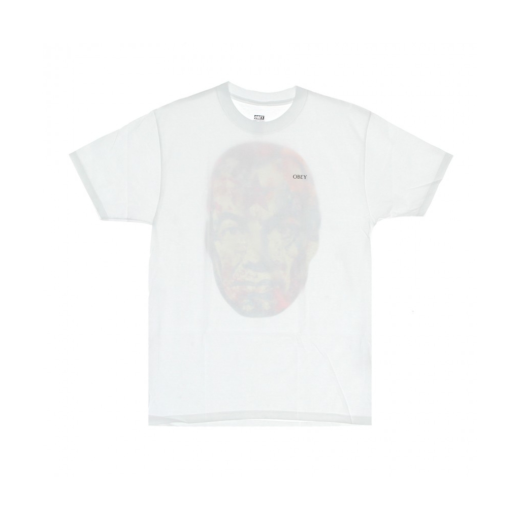 maglietta uomo big brother classic tee WHITE