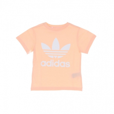 maglietta bambino trefoil tee HAZCOR/WHITE