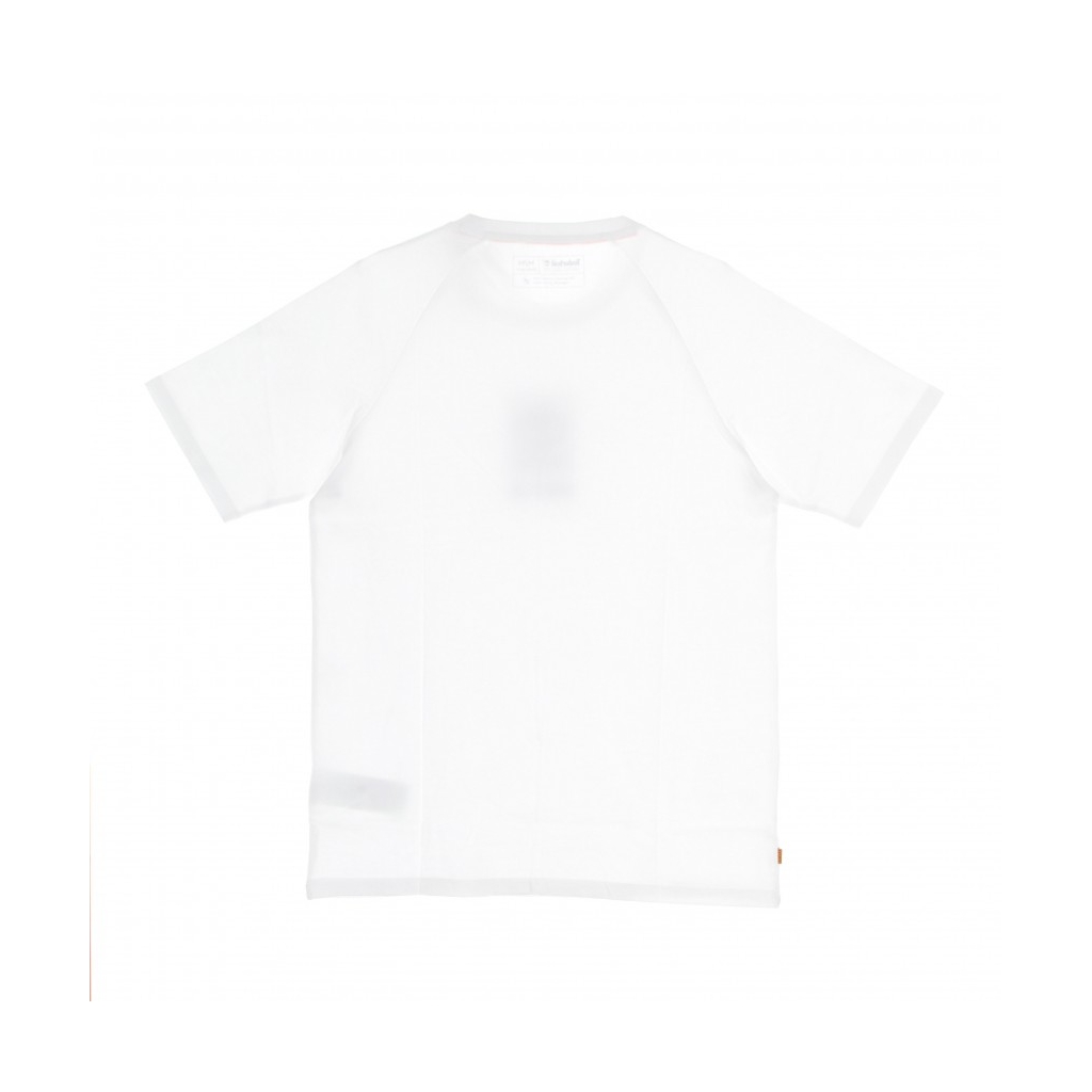 maglietta uomo core+ tee reg WHITE