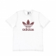 maglietta uomo trefoil tee WHITE/QUIET CRIMSON