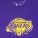 maglietta uomo nba essential tee no 6 lebron james loslak COURT PURPLE