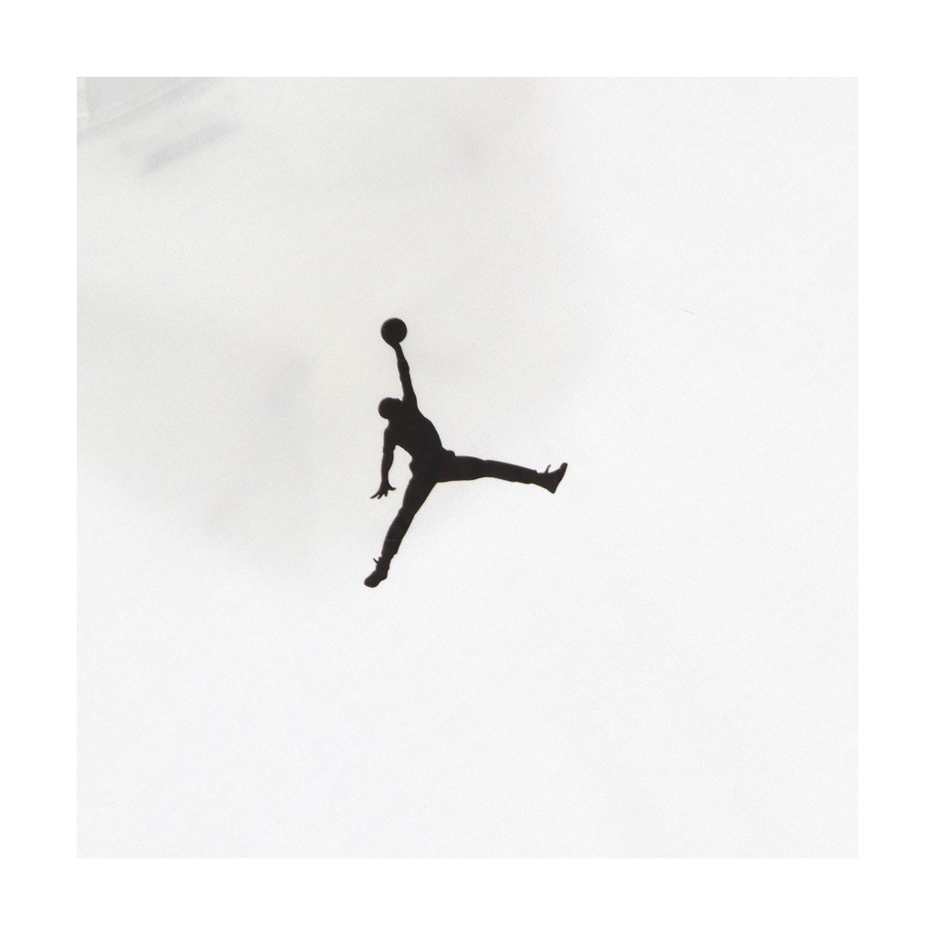 Air jordan short sleeve hoodie sale