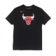 maglietta uomo nba dri fit essential logo tee chibul BLACK