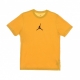 maglietta uomo m jumpman dry fit ss crew POLLEN/BLACK