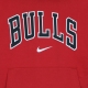 felpa cappuccio donna nba fleece essential po hoodie chibul UNIVERSITY RED