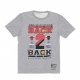 maglietta uomo nba last dance b2b champs tee chibul GREY