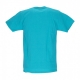 maglietta uomo bouquet classic tee TEAL