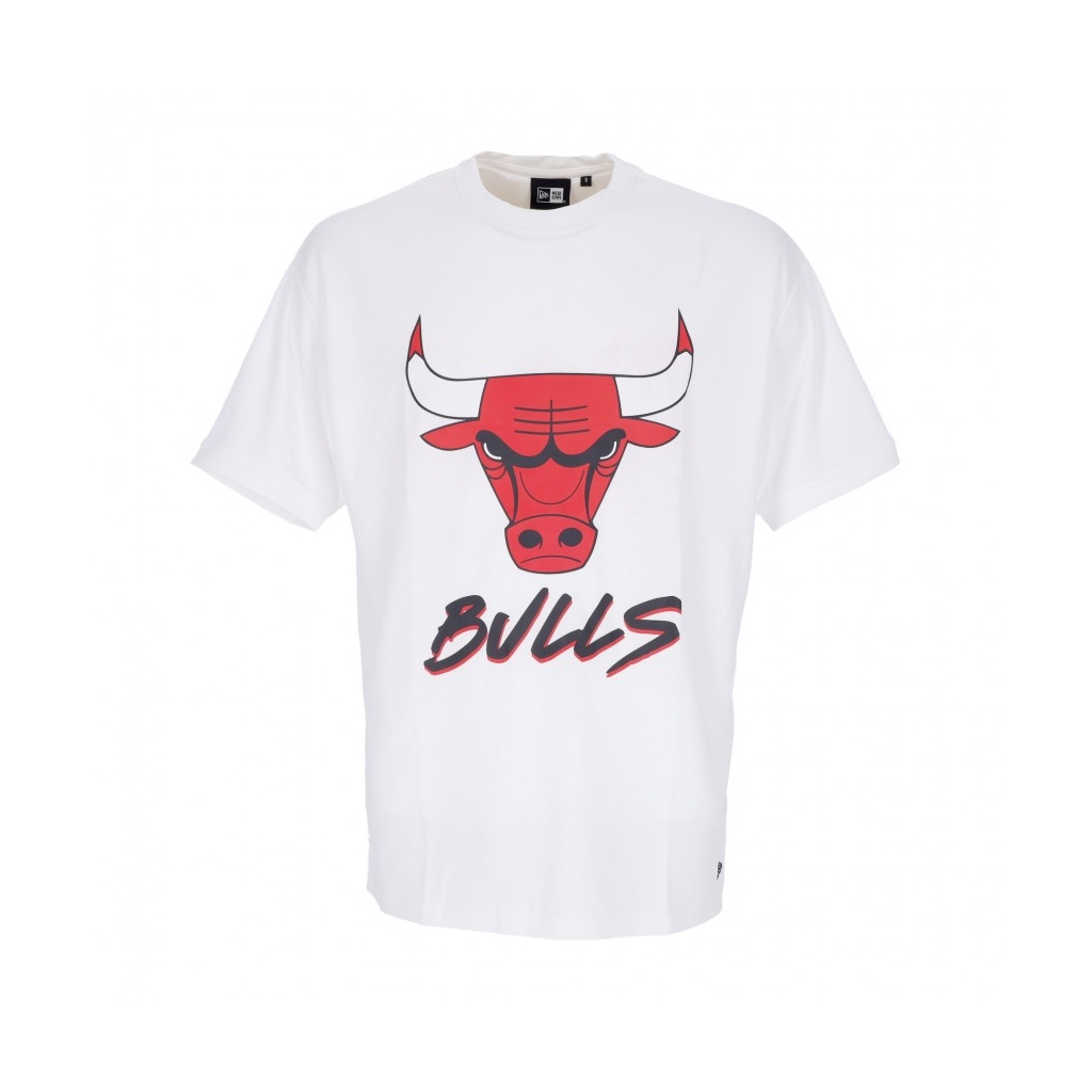 maglietta uomo nba script mesh tee chibul WHITE/FRONT DOOR RED