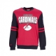 felpa girocollo uomo nfl all over crew 20 aricar ORIGINAL TEAM COLORS