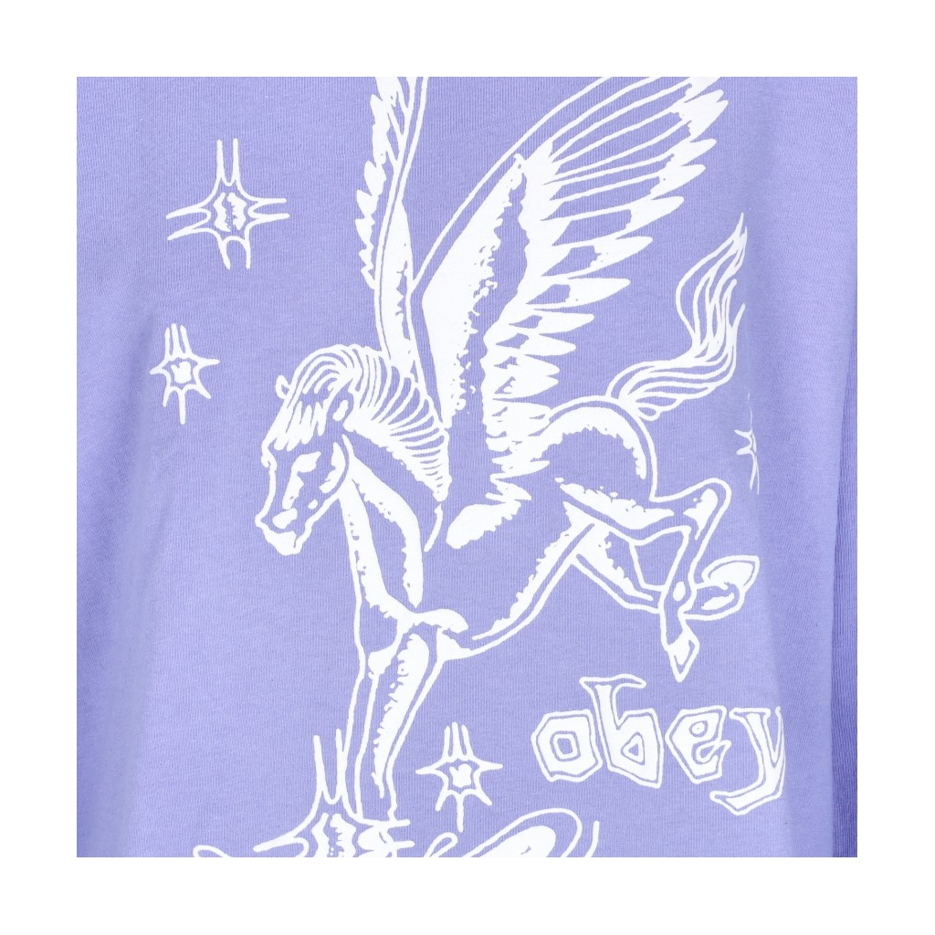 maglietta manica lunga donna pegasus custom box l/s tee DIGITAL VIOLET