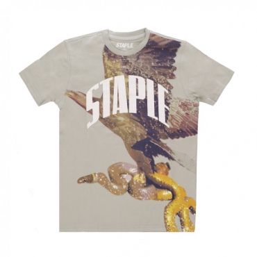 maglietta uomo montrose graphic tee SAGE