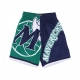 pantaloncino tipo basket uomo nba big face fashion shorts 50 hardwood classics dalmav GREEN