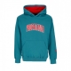 felpa cappuccio uomo college hoodie PETROL