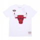 maglietta uomo nba team logo tee hardwood classics chibul WHITE