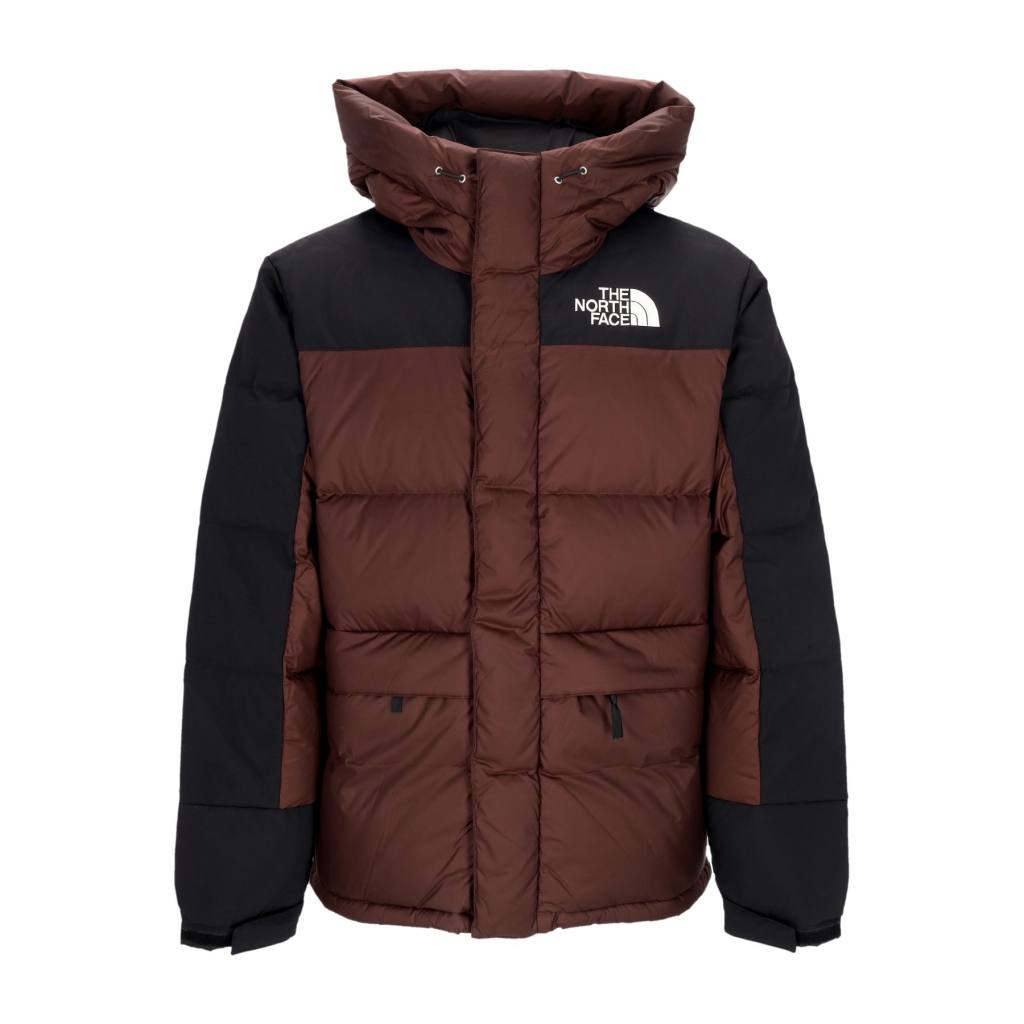 Piumino the 2024 north face uomo