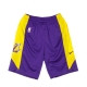 pantaloncino tipo basket uomo nba short practice 18 loslak FIELD PURPLE/AMARILLO/BLACK