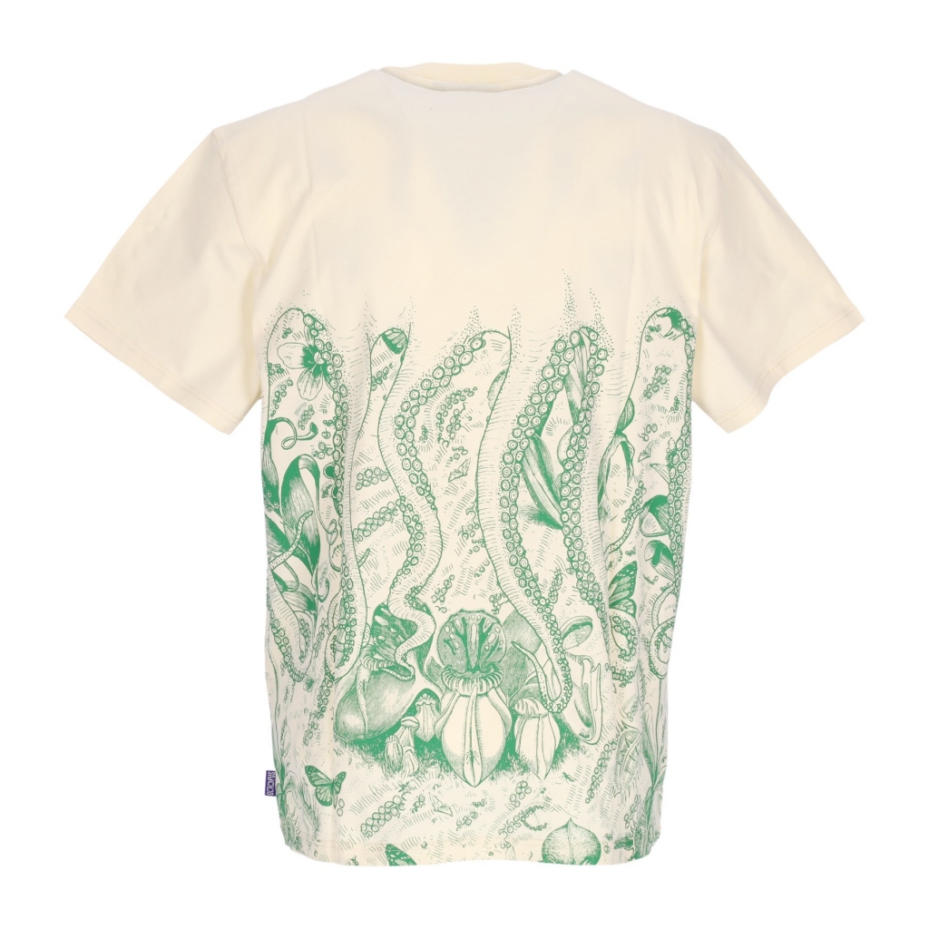 maglietta uomo botanic tee CREAM