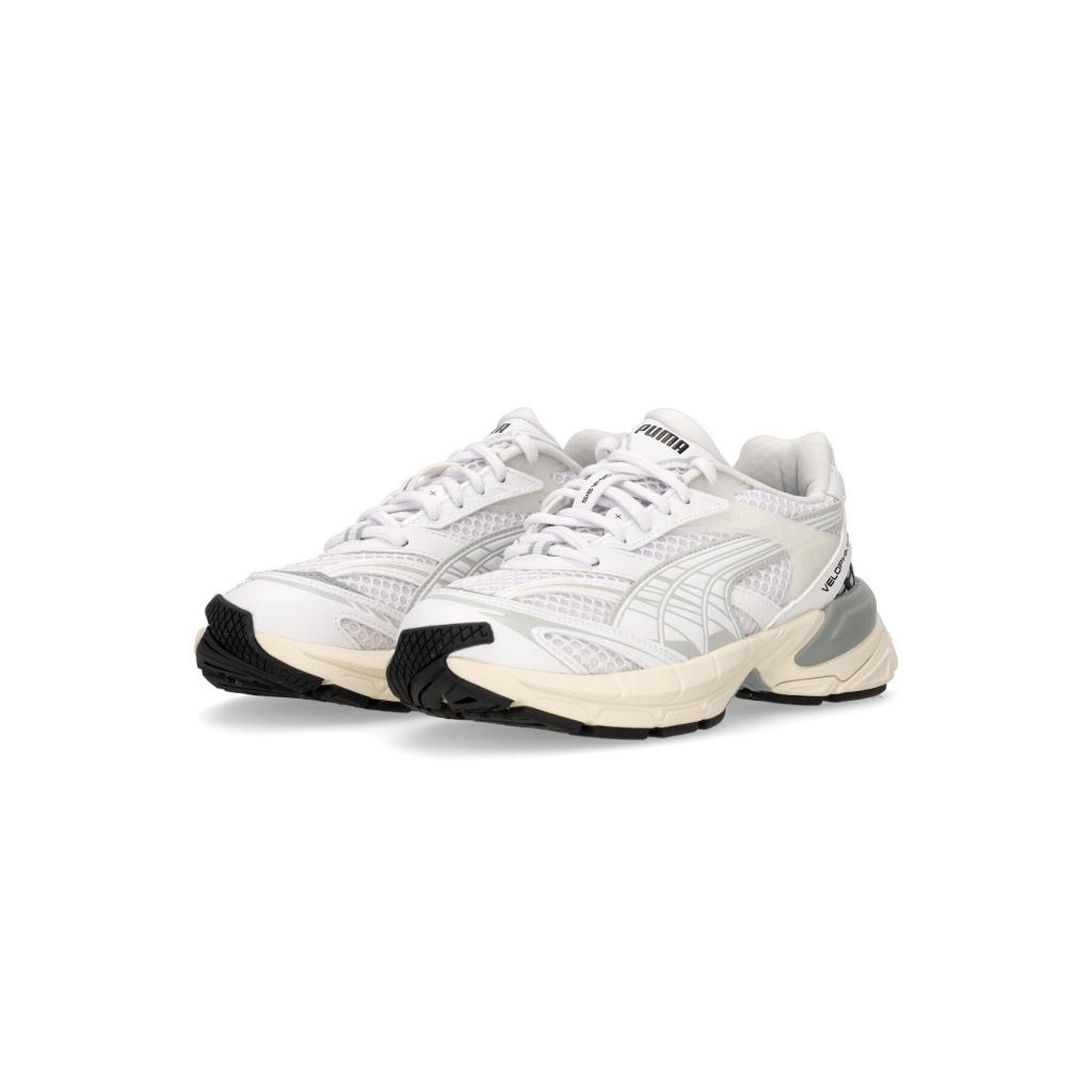 scarpa bassa uomo velophasis WHITE/COOL MID GREY