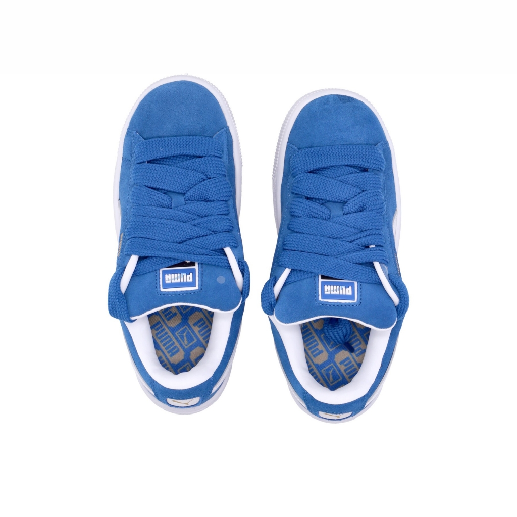 scarpa bassa uomo suede xl TEAM ROYAL/WHITE