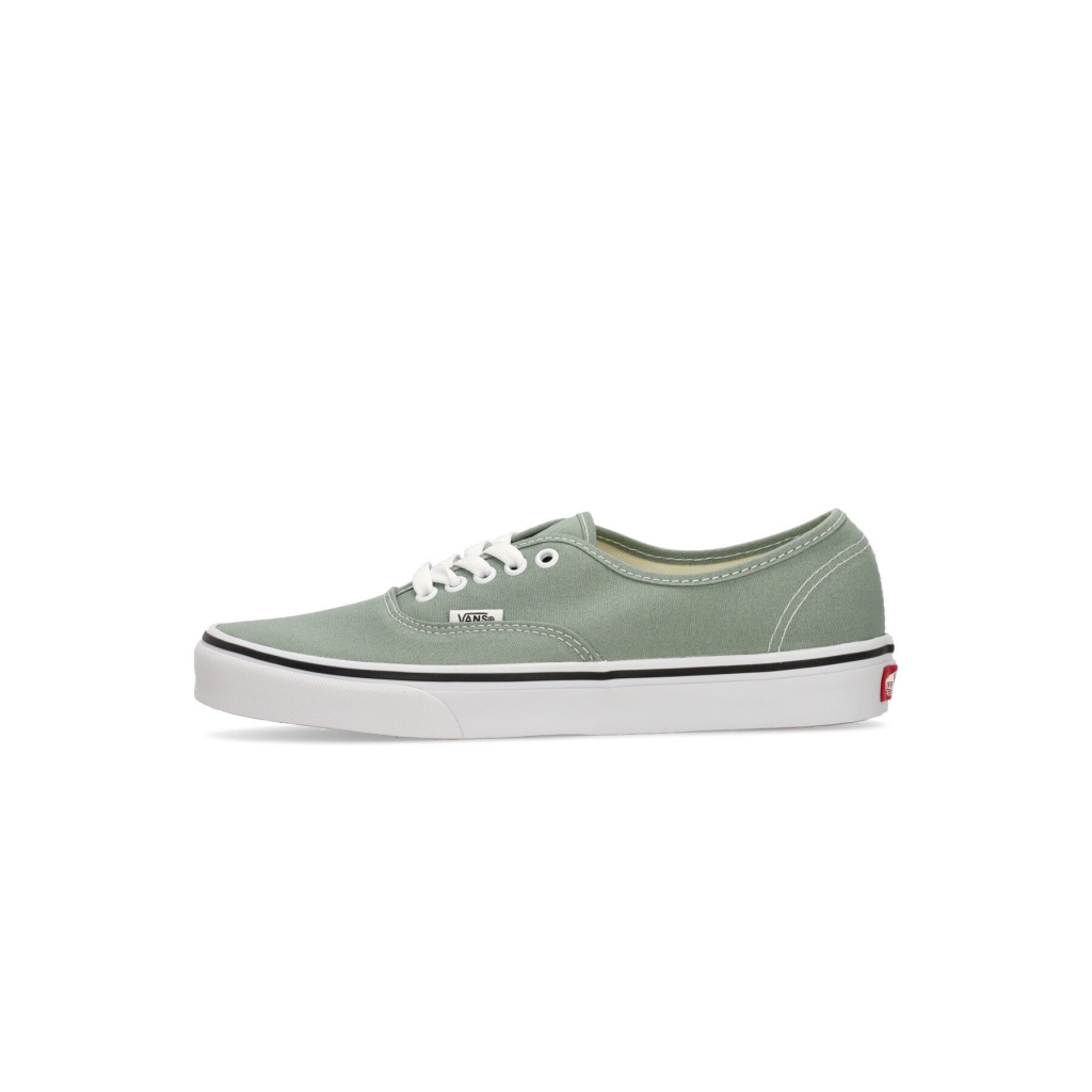 scarpa bassa uomo authentic COLOR THEORY ICEBERG GREEN