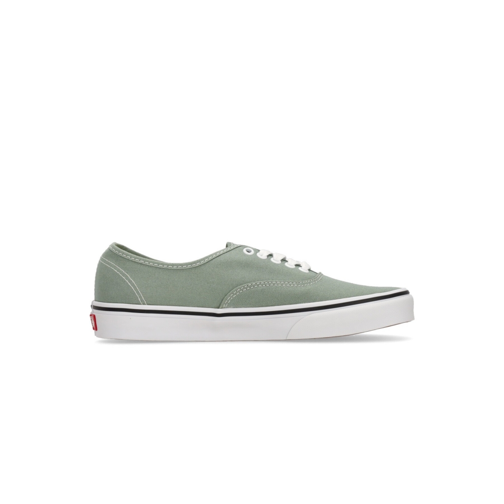 scarpa bassa uomo authentic COLOR THEORY ICEBERG GREEN