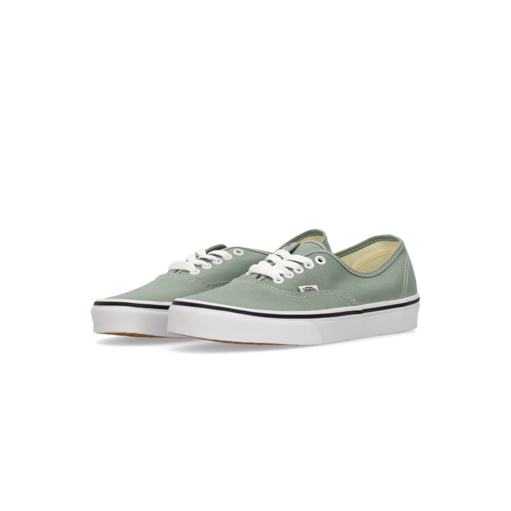 scarpa bassa uomo authentic COLOR THEORY ICEBERG GREEN