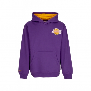 felpa cappuccio uomo nba premium fleece vintage logo hoodie ervin johnson loslak PURPLE