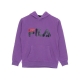 felpa cappuccio ragazzo andrey classic logo hoodie AMETHYST ORCHID