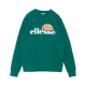 felpa leggera girocollo uomo crew neck CADMIUM GREEN