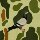 giubbotto bomber uomo classic pigeon bomber jacket CAMO