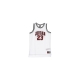 canotta tipo basket ragazzo jordan 23 jersey WHITE