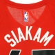 canotta basket uomo nba swingman jersey icon edition 2020 no 43 pascal siakam torrap UNIVERSITY RED