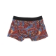 boxer uomo shenron boxer brief MULTI