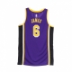 canotta basket uomo nba swingman jersey statement edition 2020 no 6 lebron james loslak FIELD PURPLE