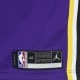 canotta basket uomo nba swingman jersey statement edition 2020 no 6 lebron james loslak FIELD PURPLE