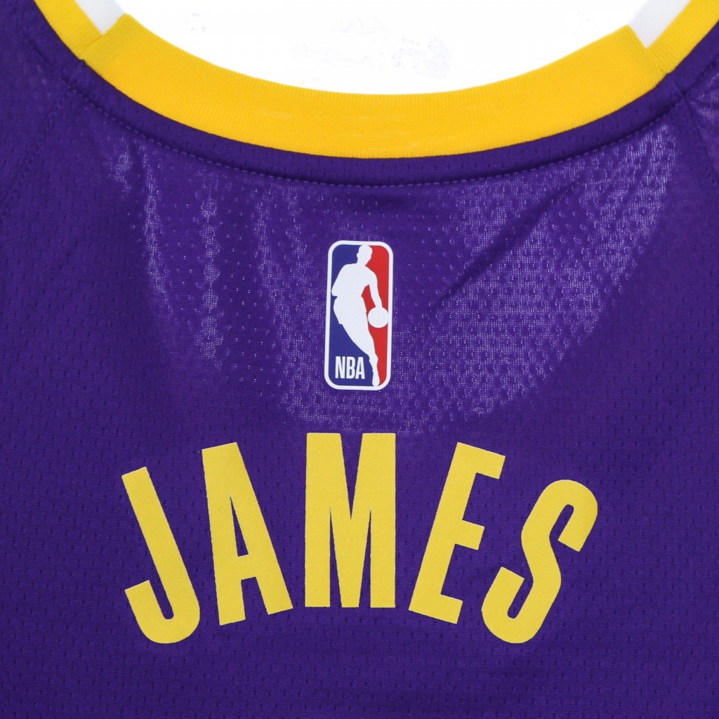 canotta basket uomo nba swingman jersey statement edition 2020 no 6 lebron james loslak FIELD PURPLE