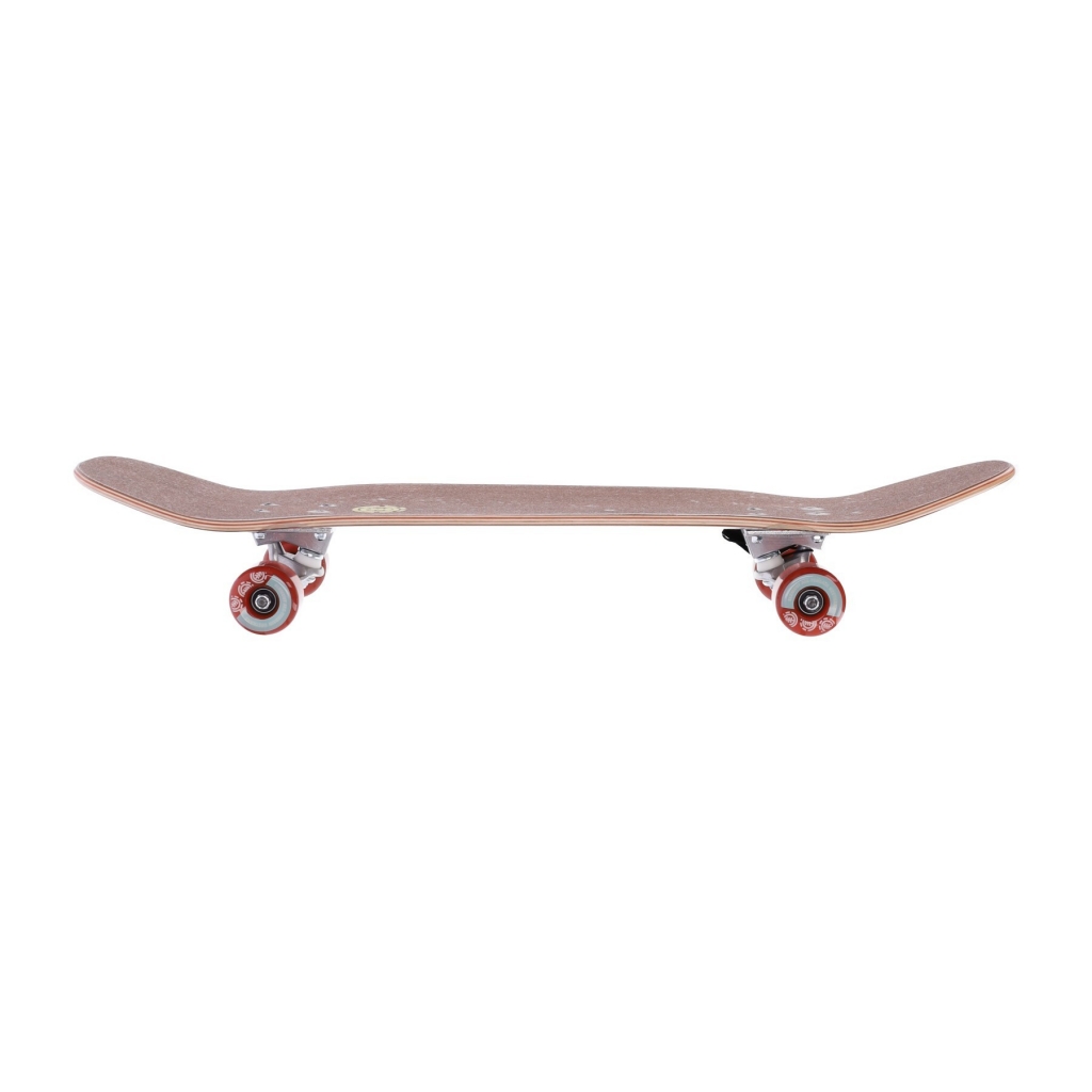 skateboard assemblati uomo hatched cruiser MULTI