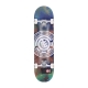 skateboard assemblati uomo magma seal skateboard MULTI