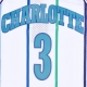 canotta basket uomo nba swingman jersey hardwood classics no 3 rex chapman 1988-89 chahor WHITE