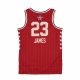 canotta basket uomo nba all star game 2024 dri-fit swingman jersey no 23 lebron james team west TEAM CRIMSON