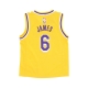 canotta basket bambino nba replica icon road jersey no 6 lebron james loslak ORIGINAL TEAM COLORS