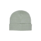 cappello uomo broadway pigeon beanie SAGE