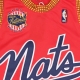 canotta basket uomo nba alternate jersey hardwood classics no 3 allen iverson phi76e LIGHT RED