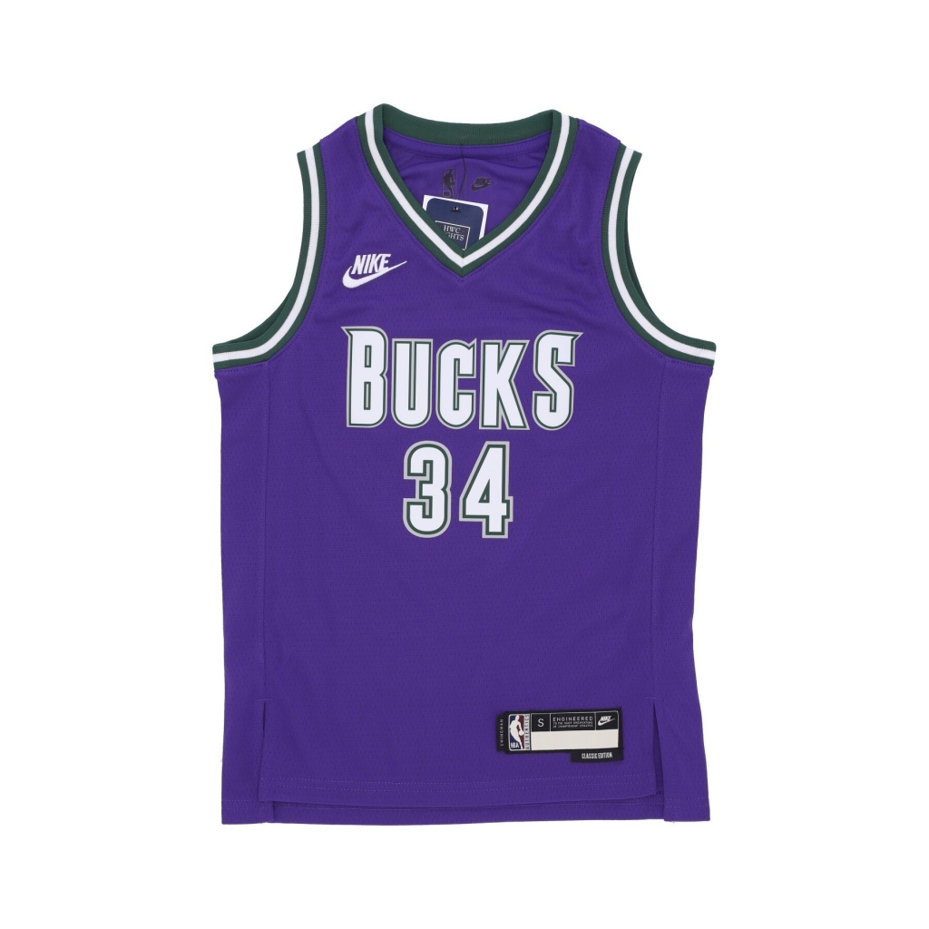 canotta basket ragazzo nba hardwood classics swingman jersey no 34 giannis antetokounmpo milbuc ORIGINAL TEAM COLORS