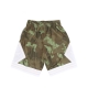 pantaloncino basket uomo nba ghost green camo swingman shorts hardwood classics chibul CAMO/GREEN