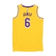 canotta basket uomo nba icon edition 22  dri-fit swingman jersey no 6 lebron james loslak AMARILLO