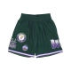 pantaloncino basket uomo nba hometown mesh short hardwood classics milbuc GREEN/PURPLE