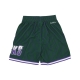 pantaloncino basket uomo nba hometown mesh short hardwood classics milbuc GREEN/PURPLE